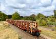 Märklin 047154 - Rungenwagen-Set Holztransport