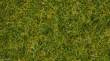 Noch 07072 - Master-Grasmischung Sommerwiese