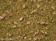 Noch 07075 - Master-Grasmischung Almwiese