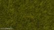 Noch 07100 - Wildgras Wiese?