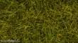 Noch 07110 - Wildgras XL Wiese?
