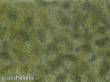 Noch 07250 - Bodendecker-Foliage mittelgrün