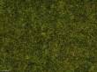 Noch 08312 - Streugras Wiese?