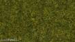 Noch 08361 - Streugras Wiese