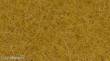 Noch 08362 - Streugras, beige