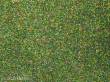 Noch 08400 - Streumaterial Blumenwiese