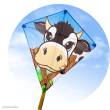 Invento 100046 - Eddy Cow - Kinderdrache, ab 5 Jahren, 68x68cm, inkl. 17kp Polyester Schnüre, 40m auf Spule