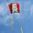 HQ 100083 - Sleddy Jolly Roger