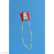 HQ 100083 - Sleddy Jolly Roger