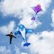 HQ 100186 - Dolphin Kite - Kinderdrachen, ab 5 Jahren, 202x175cm, inkl. 17kp Polyester Schnüre, 40m