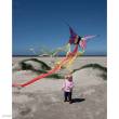 HQ 100302 - Butterfly Kite Ruby R - Kinderdrachen, ab 5 Jahren, 34x52cm, inkl. 10kp Polyester Schnüre, 25m