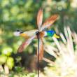 HQ 100723 - Paddle Spinner Duck