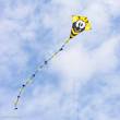 Ecoline 102109 - Ecoline: Eddy Bumble Bee 50 cm