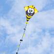 Ecoline 102109 - Ecoline: Eddy Bumble Bee 50 cm