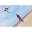 Ecoline 102145 - Ecoline: Simple Flyer Rainbow 120cm