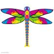 Ecoline 102196 - Dragonfly - Kinderdrachen, ab 5 Jahren, 76x100cm, inkl.17kp Polyester Schnüre, 25m
