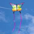 Ecoline 102223 - Butterfly Kite Rainbow - Kinderdrachen, ab 5 Jahren, 95x120cm , inkl. 17kp Polyester Schnüre