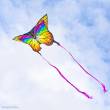 Ecoline 102223 - Butterfly Kite Rainbow - Kinderdrachen, ab 5 Jahren, 95x120cm , inkl. 17kp Polyester Schnüre