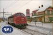 NMJ 1031271 - NMJ Topline 90110 DSB MY 1124, Nohab, Rot/Schwarz, DC Analog, H0