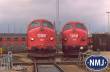 NMJ 1031272 - NMJ Topline 90108 DSB MY 1107, Rot/Schwarz, Nohab, DC Analog