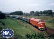NMJ 1032028 - NMJ Topline 90229 MAV M61.017, Nohab, DC, H0