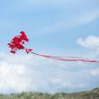 HQ 106015 - Red Baron 3D Airplane