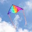 HQ 106122 - Delta Rainbow - Kinderdrachen, ab 5 Jahren, 75x140cm, inkl.17kp Polyester Schnüre, 40m