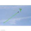 Invento 106389 - Hoffmanns Canard Delta Lime - Einleiner, ab 14 Jahren, 165x295cm, empf. 45-70kp Polyester Schnüre