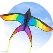 HQ 106523 - Swallow Kite Rainbow - Kinderdrachen, ab 8 Jahren, 80x120cm , inkl. 17kp Polyester Schnüre auf Spule