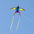 HQ 106523 - Swallow Kite Rainbow - Kinderdrachen, ab 8 Jahren, 80x120cm , inkl. 17kp Polyester Schnüre auf Spule