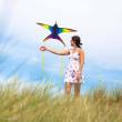 HQ 106523 - Swallow Kite Rainbow - Kinderdrachen, ab 8 Jahren, 80x120cm , inkl. 17kp Polyester Schnüre auf Spule