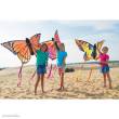 HQ 106542 - Butterfly Kite Swallowtail L