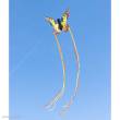HQ 106542 - Butterfly Kite Swallowtail L