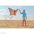 HQ 106543 - Butterfly Kite Ruby L