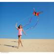 HQ 106543 - Butterfly Kite Ruby L