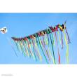 HQ 106543 - Butterfly Kite Ruby L