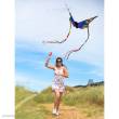 HQ 106548 - Butterfly Kite Buckeye L