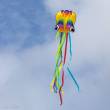 Invento 106900 - Rainbow Octopus - Kinderdrache, ab 5 Jahren, 410x70cm, inkl. 17kp Polyester Schnüre, 40m auf Spule