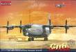 Roden 042 - AN-12BK Cub in 1:72