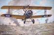 Roden 052 - Sopwith T.F.1Camel French Fighter in 1:72