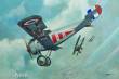 Roden 059 - Nieuport 24 in 1:72