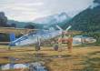 Roden 440 - Pilatus PC-6C/H-2 Turbo-Porter