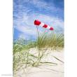 HQ 109200 - Windsock Airport 60 cm