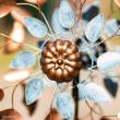 Invento 110223 - Metal Wind Spinner: Copper Leaf Duett