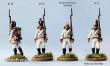Perry Miniatures AN40 - Napoleonic Austrian Infantry