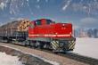 Bemo 1121952 - ZB D 10 Diesellok rot, Sound