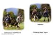 Perry Miniatures AW250 - Independence Continental Infantry