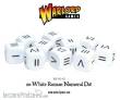 Warlord Games WG-D6-40 - Roman Numeral Dice