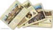 Warlord Games WG-BP008 - Blood On The Nile