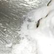 AK-Interactive AK8009 - Snow Sprinkles - 100ml (Acryl)